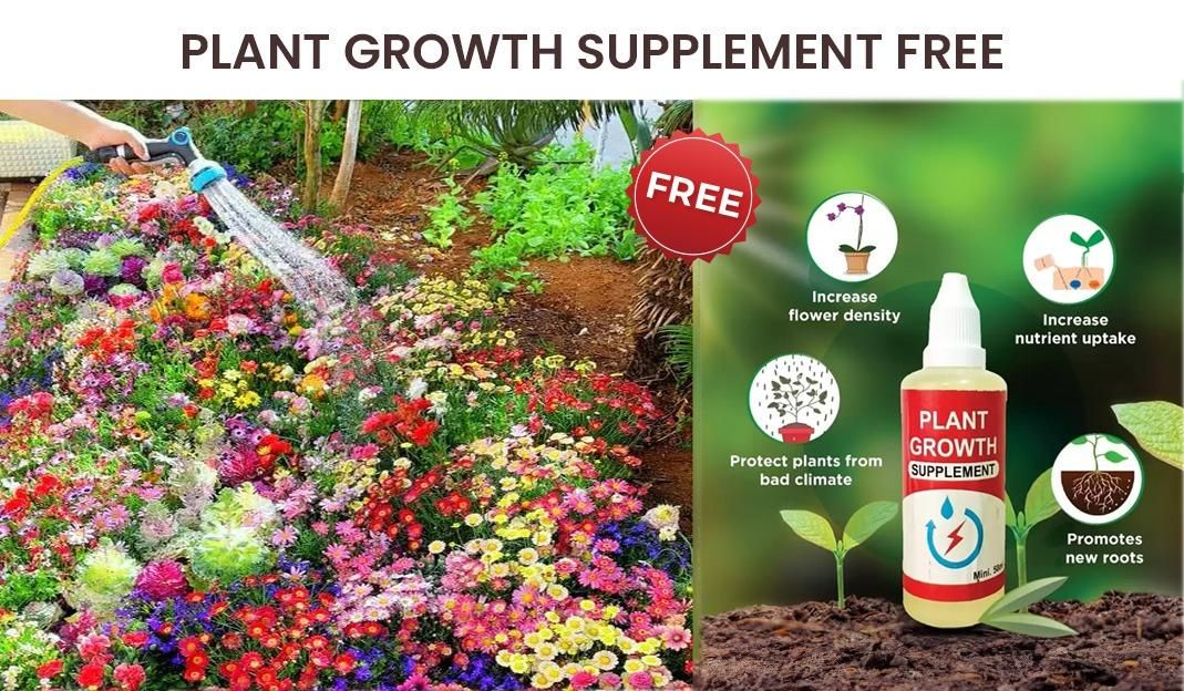 Italian Wild Mix Premium Flower Seeds + FREE Plant Growth Supplement